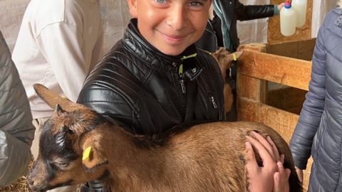 ferme les trois granges