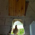 IMG-20220520-WA0004