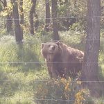 IMG_20240416_152417