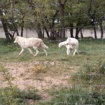 IMG_20240416_152907