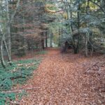 IMG_20241024_141645