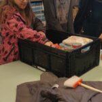 IMG_20241025_095330