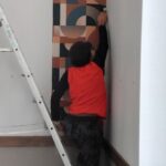 IMG_20241121_142532